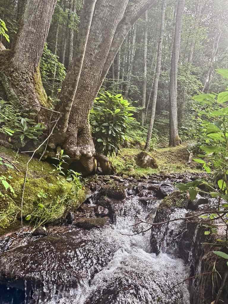 waterfalls near max patch