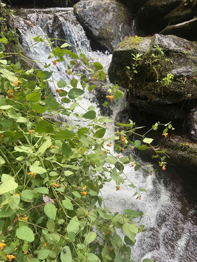 private waterfalls