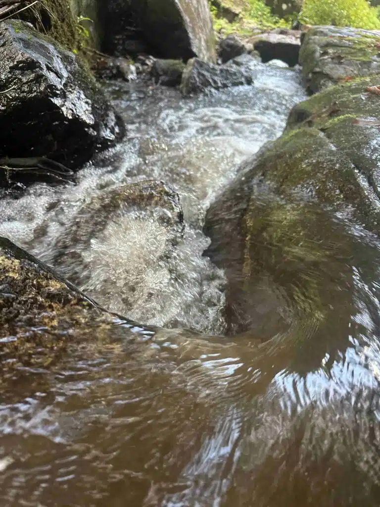 IMG_1847 (1)-min private waterfalls