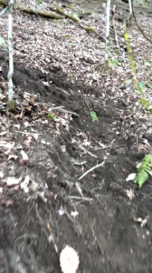 switchback trail building