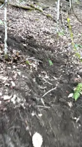 switchback trail building