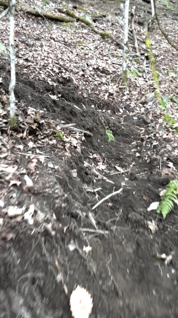 Trail Building on Steep Land: 10 Proven Principles