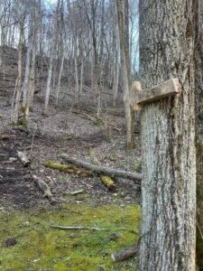 signage for trail building near asheville