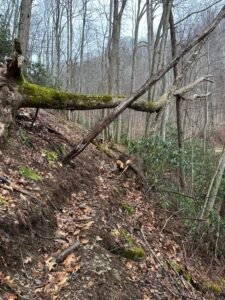 steep hill trail digging