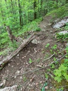 fallen tree makes great reinforcement in trail building