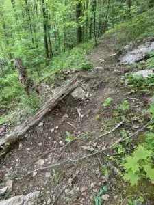 fallen tree makes great reinforcement in trail building