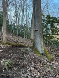 building a trail on hills