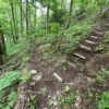 trailbuilding hiking trails near max patch in hot springs NC