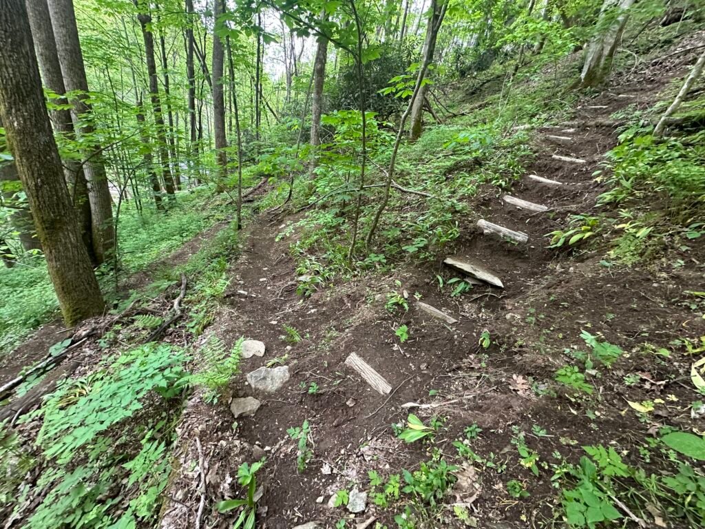 trailbuilding hiking trails near max patch in hot springs NC