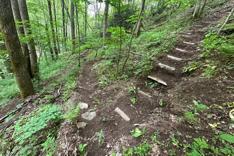 trailbuilding hiking trails near max patch in hot springs NC