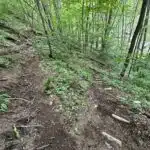 hot springs asheville building a trail