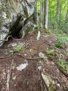 rock cropping on trail