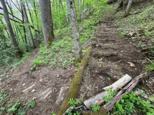 using logs to build a trail staircase max patch