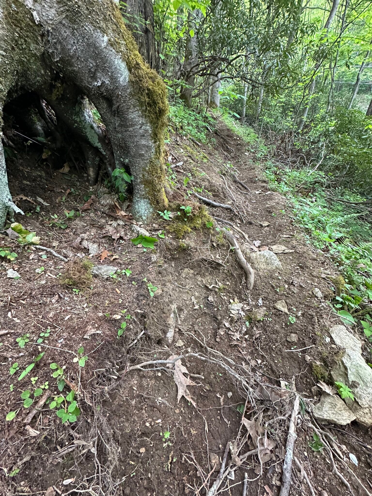 10 Trail Building Musts for Digging in Steep Terrains
