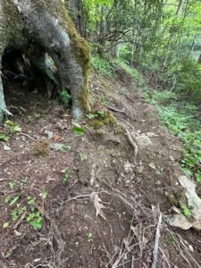 natural, interesting feature on hiking trail