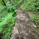 trail staircase max patch hot springs asheville