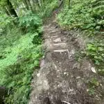 trail staircase max patch hot springs asheville