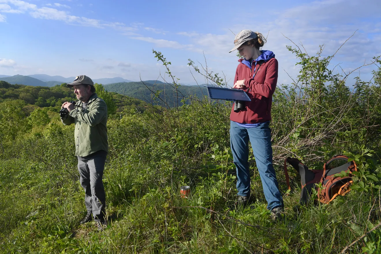 Exploring Max Patch: Finding a Potential Sanctuary for Endangered Golden-Winged Warbler