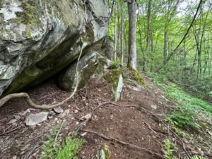 hiking trail in hot springs