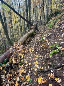 hiking trail in hot springs