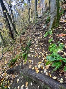 hiking trail in hot springs