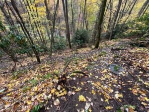 hiking trail in hot springs