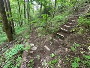 hiking trail in hot springs