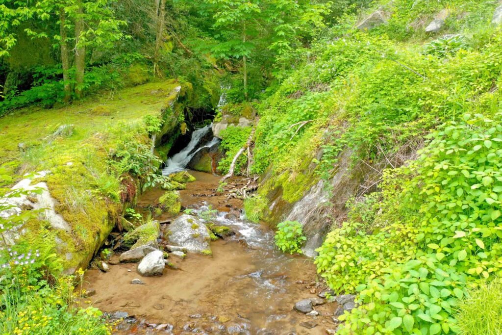 Dronephoto - upper falls straight on view Rushing waterfall beside a quiet forest retreat at Windows Over Waterfalls, a nature-filled vacation rental in Western North Carolina.