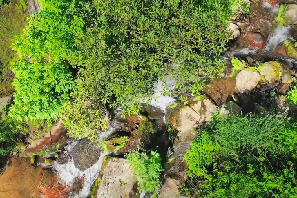 drone above hosta falls looking down Secluded waterfall vacation rental near Hot Springs NC with forest views and rushing creek