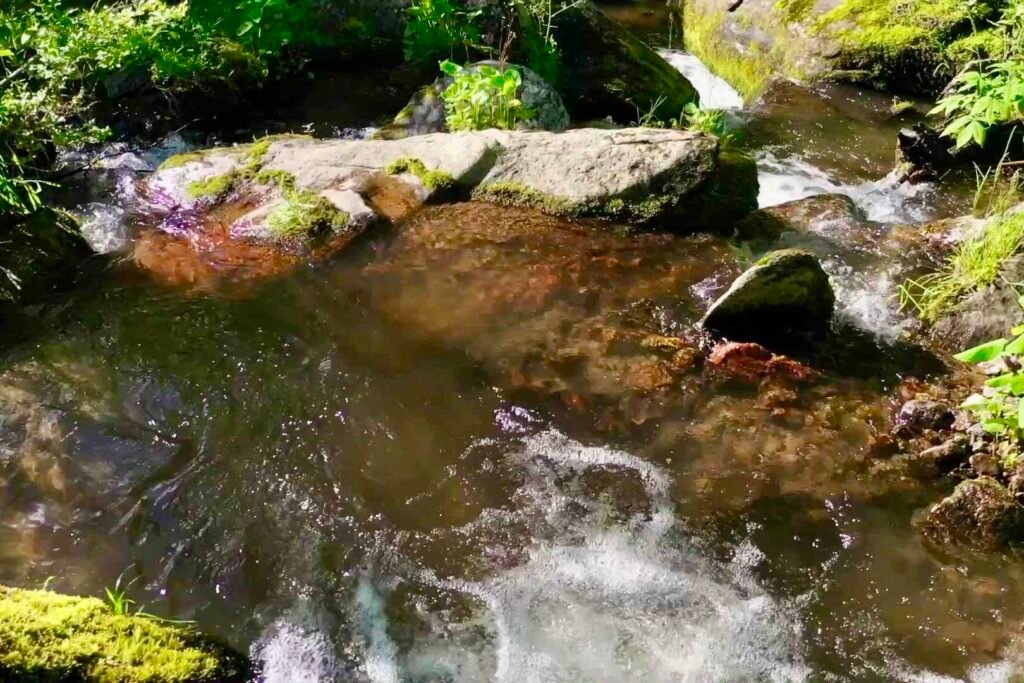 drone below upper falls Mountain vacation rental with waterfall sounds and mossy creekside landscape in North Carolina