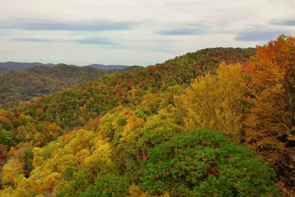 drone foliage above house east Fall foliage mountain view near Windows Over Waterfalls cabin in the Blue Ridge Mountains