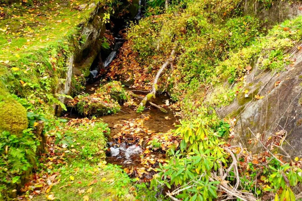 drone foliage big falls Romantic mountain cabin getaway with waterfall views near Asheville and Hot Springs North Carolina