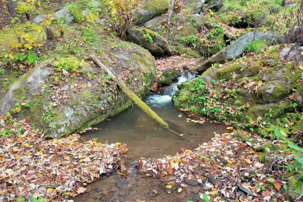 drone foliage unicorn up Drone view of a private creek and waterfall property in the Blue Ridge Mountains of North Carolina