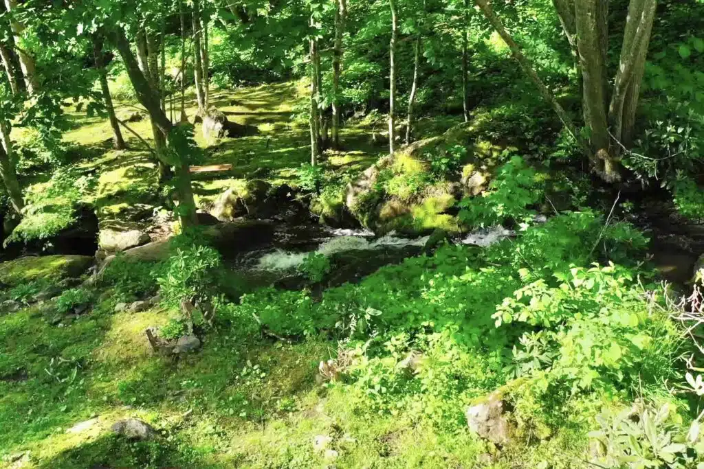 drone moss section across unicorn Private creek and waterfall view at Windows Over Waterfalls romantic mountain vacation rental