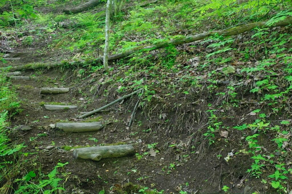 drone trails stairs Steep wooded hiking trail behind the Windows Over Waterfalls cabin, offering a secluded nature experience with forest views and direct access to mountain terrain.