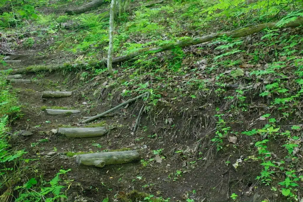 drone trails stairs Steep wooded hiking trail behind the Windows Over Waterfalls cabin, offering a secluded nature experience with forest views and direct access to mountain terrain.