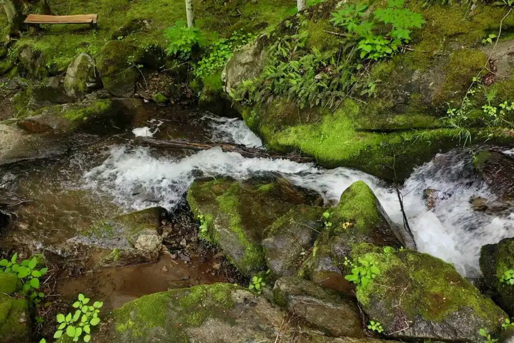 drone unicor from mossy spot across Small cascading waterfall on the property at Windows Over Waterfalls, creating a serene atmosphere for a private mountain getaway near Hot Springs.