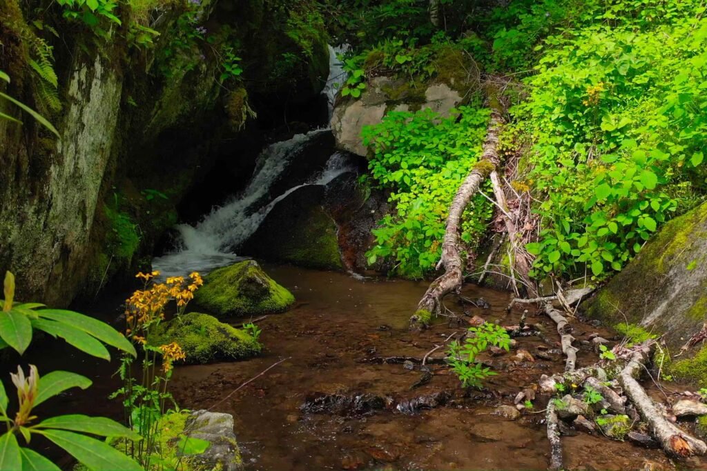 drone upper falls pretty close Private mountain waterfall and boulder-lined creek at Windows Over Waterfalls, a secluded luxury cabin retreat near Hot Springs, North Carolina, surrounded by moss and forest.