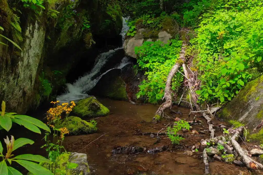 drone upper falls pretty close Private mountain waterfall and boulder-lined creek at Windows Over Waterfalls, a secluded luxury cabin retreat near Hot Springs, North Carolina, surrounded by moss and forest.