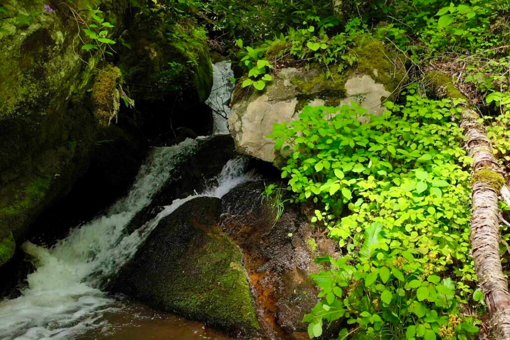 drone uppper falls close up Flowing creek and natural waterfall beneath lush Appalachian forest at Windows Over Waterfalls, a romantic mountain vacation rental in western North Carolina.