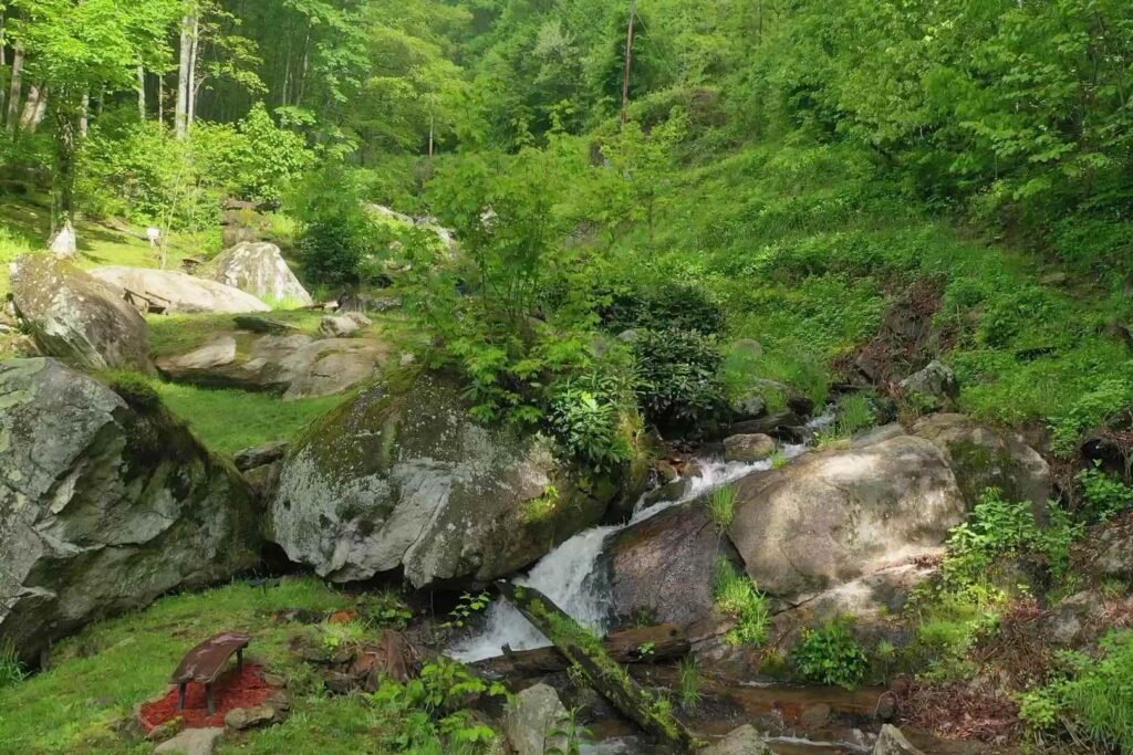 vlc big falls sunny with shaded areas