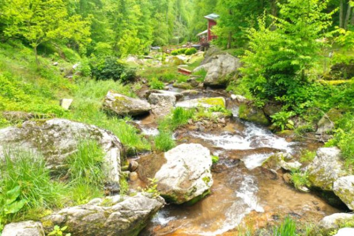 Waterfall Cabin Near Me that has waterfalls
