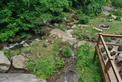 Waterfall Cabin Near Me edge of patio