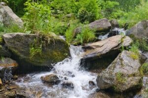 Hot Springs NC Cabin landscape