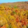 Fall Foliage in the Blue Ridge Mountains
