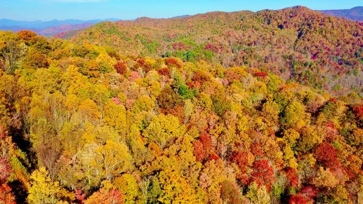 Fall Foliage in the Blue Ridge Mountains