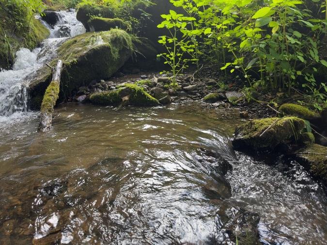 Unplugged Couples Getaway with waterfalls and creeks