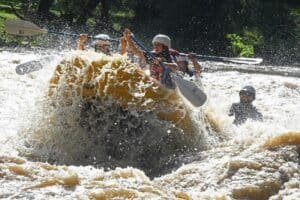 Blue Heron Whitewater French Broad River rafting Section 9 near Hot Springs NC