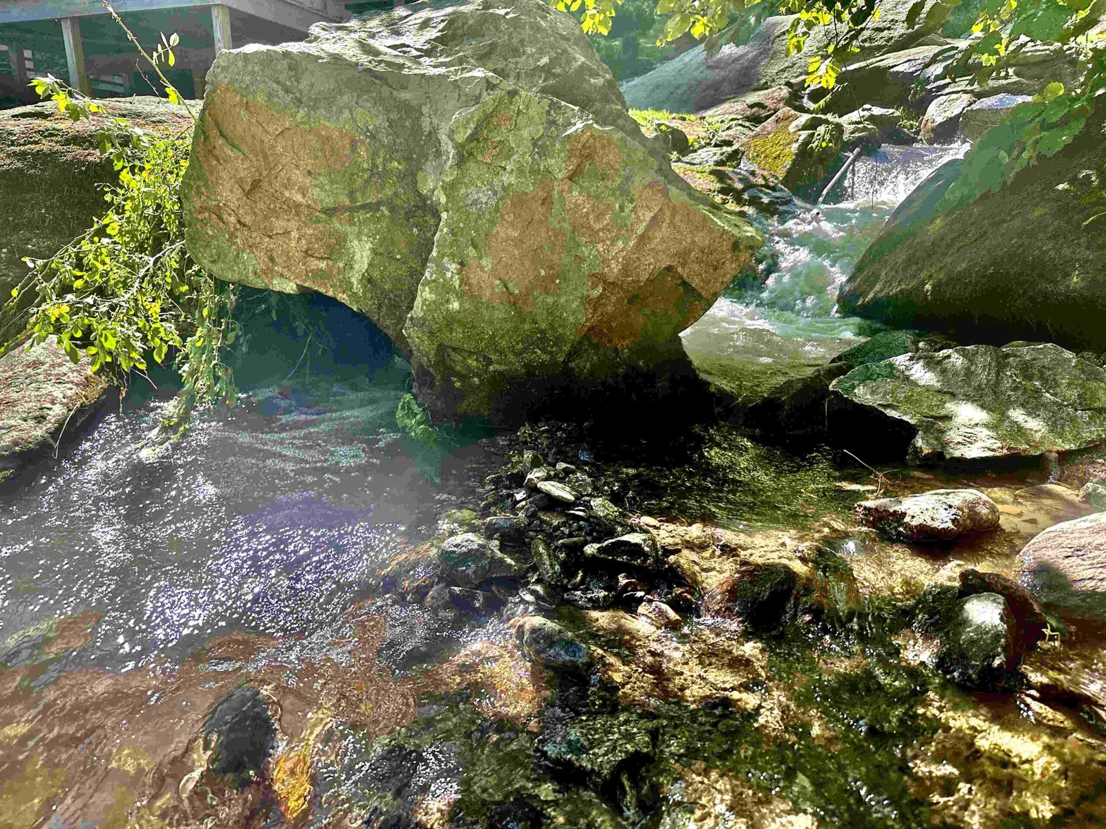 Fall foliage at the waterfalls at Windows Over Waterfalls