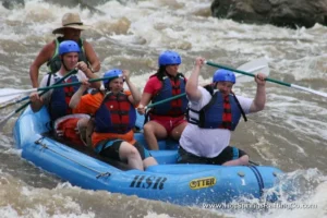 Whitewater Rafting and Tubing on the French Broad River Hot Springs NC